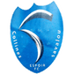 Espoir Savalou logo