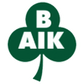 Bergnäsets logo