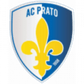 Prato logo