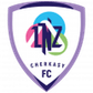 LNZ Cherkasy logo