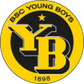 Young Boys W logo