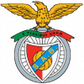 Arronches e Benfica logo