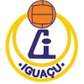 AA Iguaçu logo