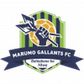 Marumo Gallants U23 logo