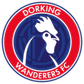 Dorking Wanderers W logo