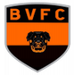 Bela Vista TO logo