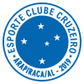 Cruzeiro Arapiraca logo