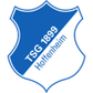 1899 Hoffenheim W logo