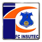 Insutec logo