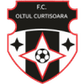 Oltul Curtişoara logo