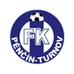 Turnov logo