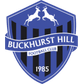Buckhurst Hill logo