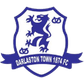 Darlaston Town logo