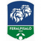 FeralpiSalò U19 logo