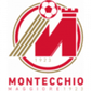 Montecchio Maggiore logo