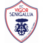 Vigor Senigallia logo