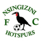 Nsingizini Hotspurs logo