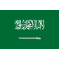 Saudi Arabia W logo