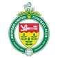 Ashford United W logo