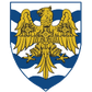 Consett W logo