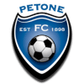 Petone logo