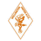 Wellington United logo
