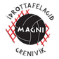 Magni logo