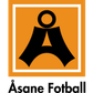 Asane logo