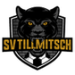 Tillmitsch logo