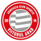 Viitorul Arad logo