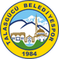 Talasgücü Belediyespor logo