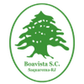 Boavista SC logo