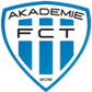 Táborsko II logo