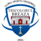 Tricolorul Breaza logo