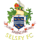 Selsey W logo