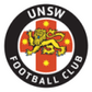 UNSW logo
