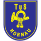 Hornau logo