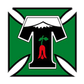 Deportes Temuco logo