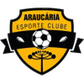 Araucaria U20 logo