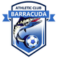 Barracuda logo