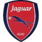 Jaguar U20 logo