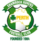 Shamrock logo