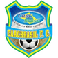 CAAC Brasil logo
