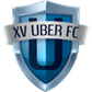 XV de Novembro U20 logo
