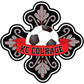 KC Courage logo