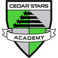 Cedar Stars logo