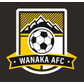 Wanaka logo