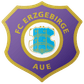 Erzgebirge Aue U19 logo