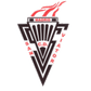 San Viator logo