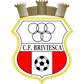 Briviesca logo